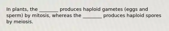 In plants, the ________ produces haploid gametes (eggs and sperm) by mitosis, whereas the ________ produces haploid spores by meiosis.