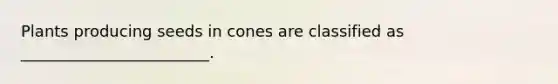 Plants producing seeds in cones are classified as ________________________.