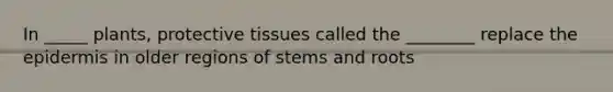 In _____ plants, protective tissues called the ________ replace the epidermis in older regions of stems and roots