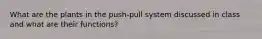 What are the plants in the push-pull system discussed in class and what are their functions?