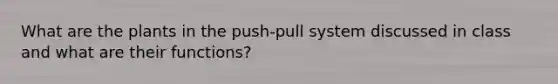 What are the plants in the push-pull system discussed in class and what are their functions?