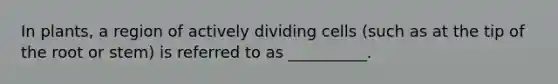 In plants, a region of actively dividing cells (such as at the tip of the root or stem) is referred to as __________.