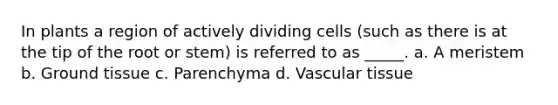 In plants a region of actively dividing cells (such as there is at the tip of the root or stem) is referred to as _____. a. A meristem b. <a href='https://www.questionai.com/knowledge/kb0kKBaH0H-ground-tissue' class='anchor-knowledge'>ground tissue</a> c. Parenchyma d. <a href='https://www.questionai.com/knowledge/k1HVFq17mo-vascular-tissue' class='anchor-knowledge'>vascular tissue</a>