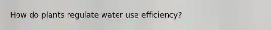 How do plants regulate water use efficiency?