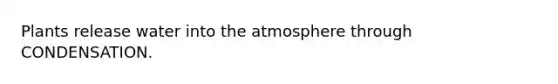 Plants release water into the atmosphere through CONDENSATION.