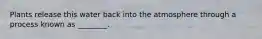 Plants release this water back into the atmosphere through a process known as ________.