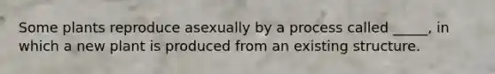 Some plants reproduce asexually by a process called _____, in which a new plant is produced from an existing structure.