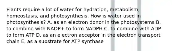 Plants require a lot of water for hydration, metabolism, homeostasis, and photosynthesis. How is water used in photosynthesis? A. as an electron donor in the photosystems B. to combine with NADP+ to form NADPH C. to combine with ADP to form ATP D. as an electron acceptor in the electron transport chain E. as a substrate for ATP synthase