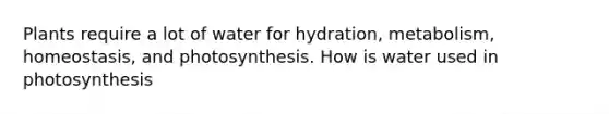 Plants require a lot of water for hydration, metabolism, homeostasis, and photosynthesis. How is water used in photosynthesis