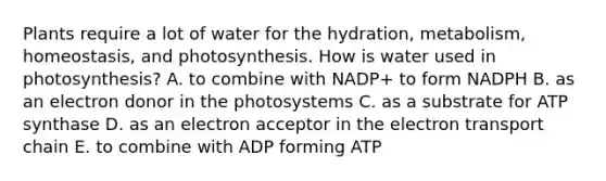 Plants require a lot of water for the hydration, metabolism, homeostasis, and photosynthesis. How is water used in photosynthesis? A. to combine with NADP+ to form NADPH B. as an electron donor in the photosystems C. as a substrate for ATP synthase D. as an electron acceptor in the electron transport chain E. to combine with ADP forming ATP