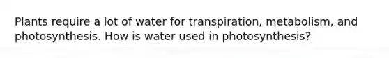 Plants require a lot of water for transpiration, metabolism, and photosynthesis. How is water used in photosynthesis?