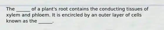 The ______ of a plant's root contains the conducting tissues of xylem and phloem. It is encircled by an outer layer of cells known as the ______.