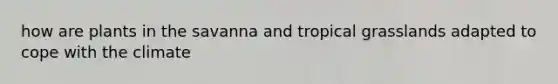 how are plants in the savanna and tropical grasslands adapted to cope with the climate