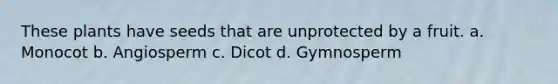 These plants have seeds that are unprotected by a fruit. a. Monocot b. Angiosperm c. Dicot d. Gymnosperm
