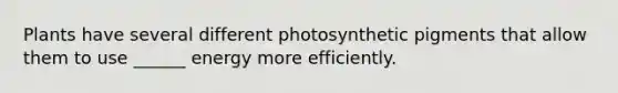 Plants have several different photosynthetic pigments that allow them to use ______ energy more efficiently.