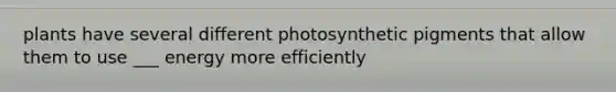 plants have several different photosynthetic pigments that allow them to use ___ energy more efficiently