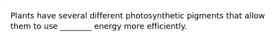 Plants have several different photosynthetic pigments that allow them to use ________ energy more efficiently.