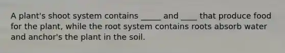 A plant's shoot system contains _____ and ____ that produce food for the plant, while the root system contains roots absorb water and anchor's the plant in the soil.