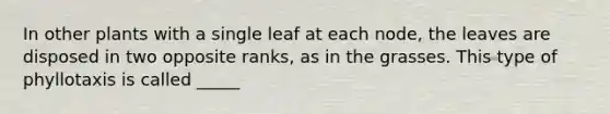 In other plants with a single leaf at each node, the leaves are disposed in two opposite ranks, as in the grasses. This type of phyllotaxis is called _____