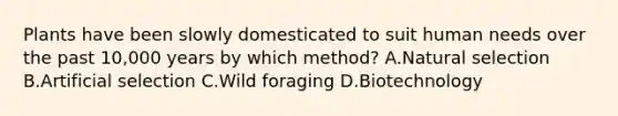 Plants have been slowly domesticated to suit human needs over the past 10,000 years by which method? A.Natural selection B.Artificial selection C.Wild foraging D.Biotechnology