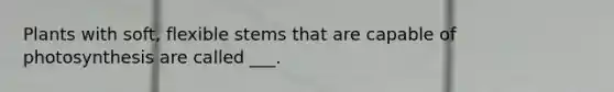 Plants with soft, flexible stems that are capable of photosynthesis are called ___.