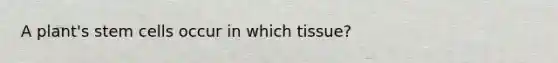 A plant's stem cells occur in which tissue?