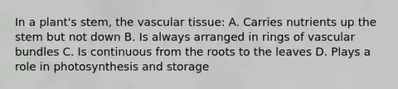 In a plant's stem, the vascular tissue: A. Carries nutrients up the stem but not down B. Is always arranged in rings of vascular bundles C. Is continuous from the roots to the leaves D. Plays a role in photosynthesis and storage