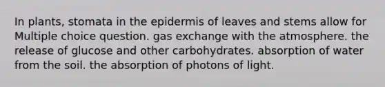 In plants, stomata in the epidermis of leaves and stems allow for Multiple choice question. gas exchange with the atmosphere. the release of glucose and other carbohydrates. absorption of water from the soil. the absorption of photons of light.