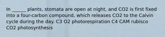 In ______ plants, stomata are open at night, and CO2 is first fixed into a four-carbon compound, which releases CO2 to the Calvin cycle during the day. C3 O2 photorespiration C4 CAM rubisco CO2 photosynthesis