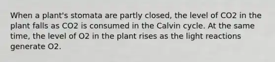 When a plant's stomata are partly closed, the level of CO2 in the plant falls as CO2 is consumed in the Calvin cycle. At the same time, the level of O2 in the plant rises as the light reactions generate O2.