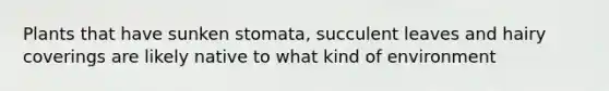 Plants that have sunken stomata, succulent leaves and hairy coverings are likely native to what kind of environment