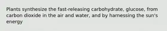 Plants synthesize the fast-releasing carbohydrate, glucose, from carbon dioxide in the air and water, and by harnessing the sun's energy