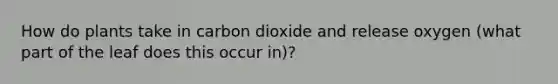 How do plants take in carbon dioxide and release oxygen (what part of the leaf does this occur in)?