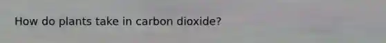 How do plants take in carbon dioxide?