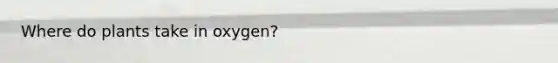 Where do plants take in oxygen?