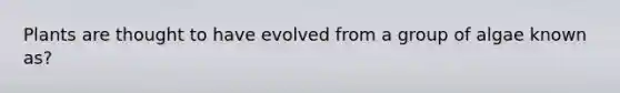 Plants are thought to have evolved from a group of algae known as?