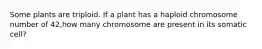 Some plants are triploid. If a plant has a haploid chromosome number of 42,how many chromosome are present in its somatic cell?