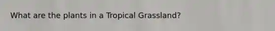 What are the plants in a Tropical Grassland?