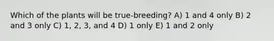 Which of the plants will be true-breeding? A) 1 and 4 only B) 2 and 3 only C) 1, 2, 3, and 4 D) 1 only E) 1 and 2 only