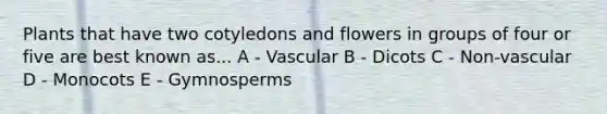 Plants that have two cotyledons and flowers in groups of four or five are best known as... A - Vascular B - Dicots C - Non-vascular D - Monocots E - Gymnosperms