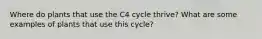 Where do plants that use the C4 cycle thrive? What are some examples of plants that use this cycle?