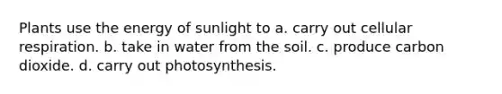 Plants use the energy of sunlight to a. carry out cellular respiration. b. take in water from the soil. c. produce carbon dioxide. d. carry out photosynthesis.