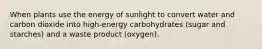 When plants use the energy of sunlight to convert water and carbon dioxide into high-energy carbohydrates (sugar and starches) and a waste product (oxygen).