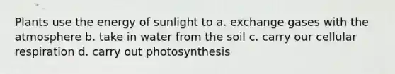 Plants use the energy of sunlight to a. exchange gases with the atmosphere b. take in water from the soil c. carry our cellular respiration d. carry out photosynthesis