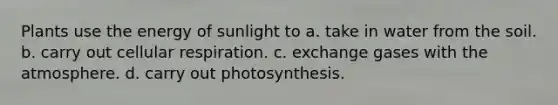 Plants use the energy of sunlight to a. take in water from the soil. b. carry out cellular respiration. c. exchange gases with the atmosphere. d. carry out photosynthesis.