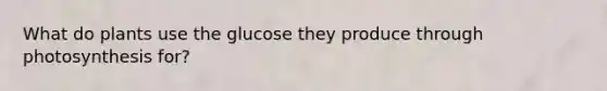What do plants use the glucose they produce through photosynthesis for?