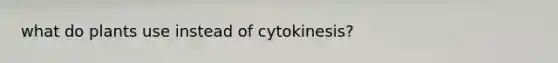 what do plants use instead of cytokinesis?