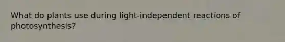 What do plants use during light-independent reactions of photosynthesis?