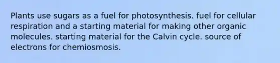 Plants use sugars as a fuel for photosynthesis. fuel for cellular respiration and a starting material for making other organic molecules. starting material for the Calvin cycle. source of electrons for chemiosmosis.