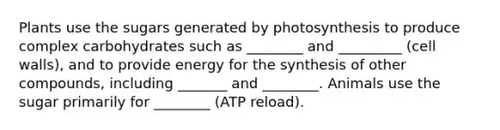 Plants use the sugars generated by photosynthesis to produce complex carbohydrates such as ________ and _________ (cell walls), and to provide energy for the synthesis of other compounds, including _______ and ________. Animals use the sugar primarily for ________ (ATP reload).